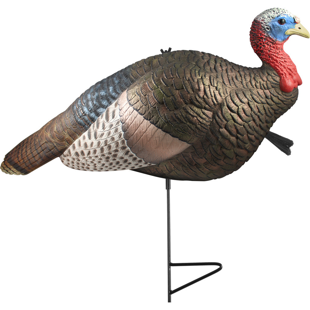 The Grind 1-2 Strut Jake Turkey Decoy - Outdoor Solutions And Services