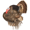 Dave Smith Decoy Strutter Decoy - Outdoor Solutions And Services