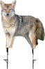 Montana Decoy Coyote Song Dog - Outdoor Solutions And Services