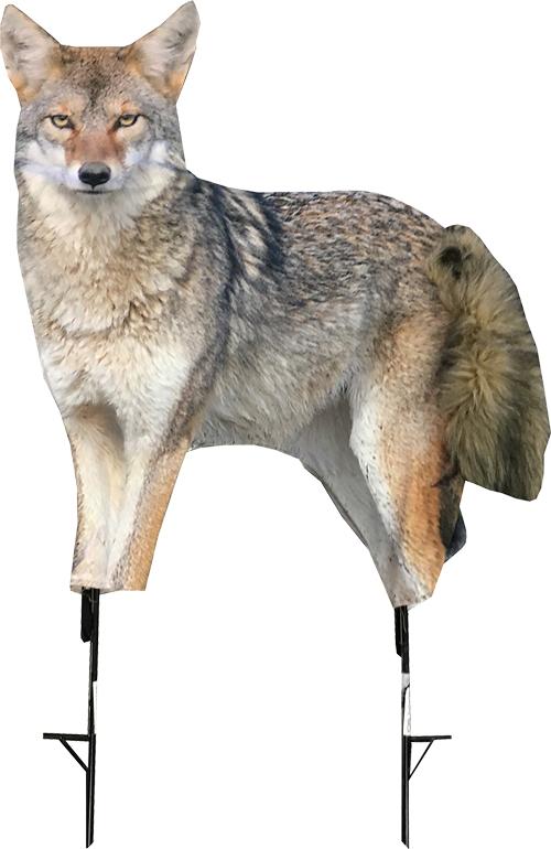 Montana Decoy Coyote Song Dog - Outdoor Solutions And Services